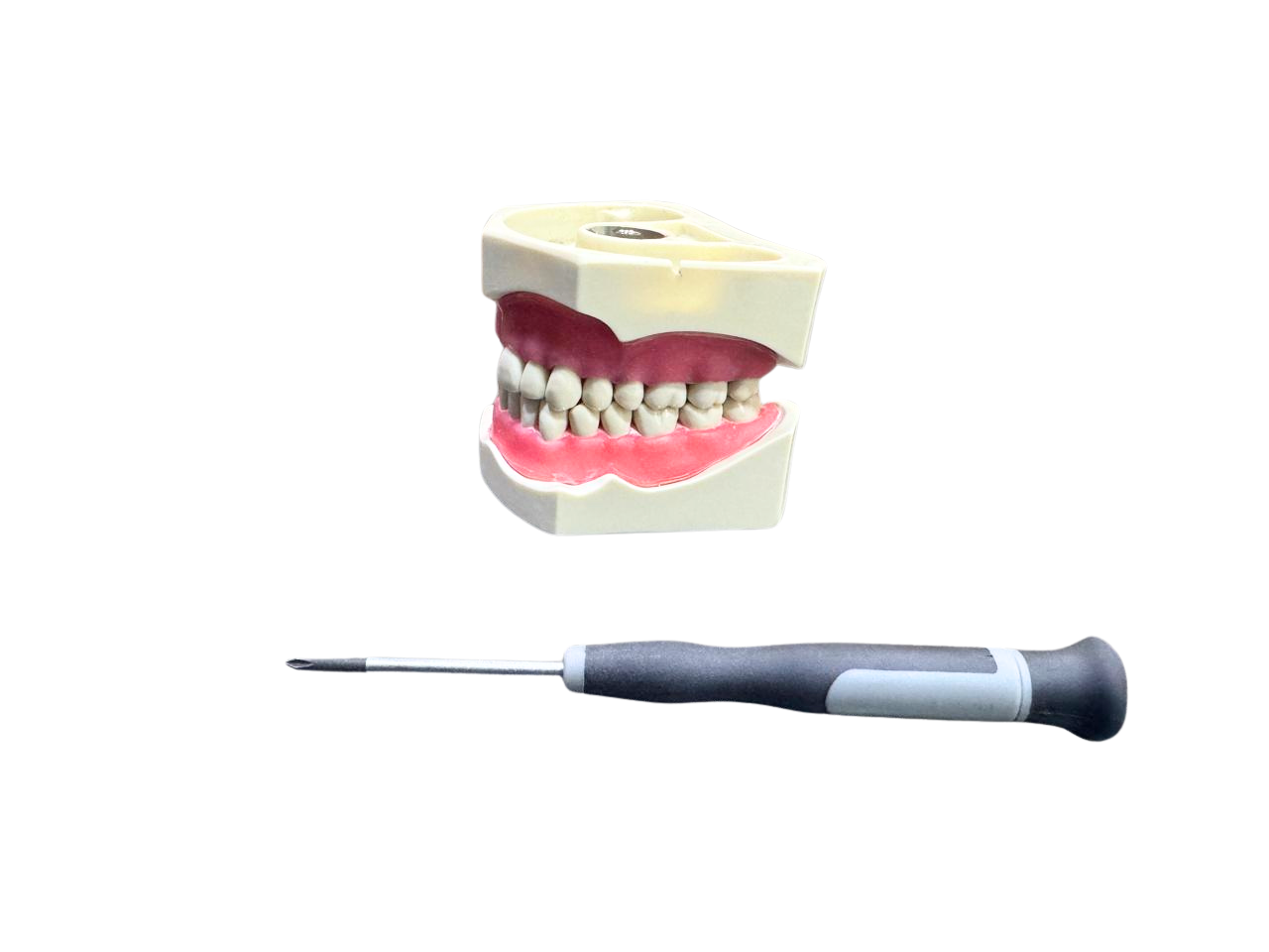 Columbia Type Jaw Set