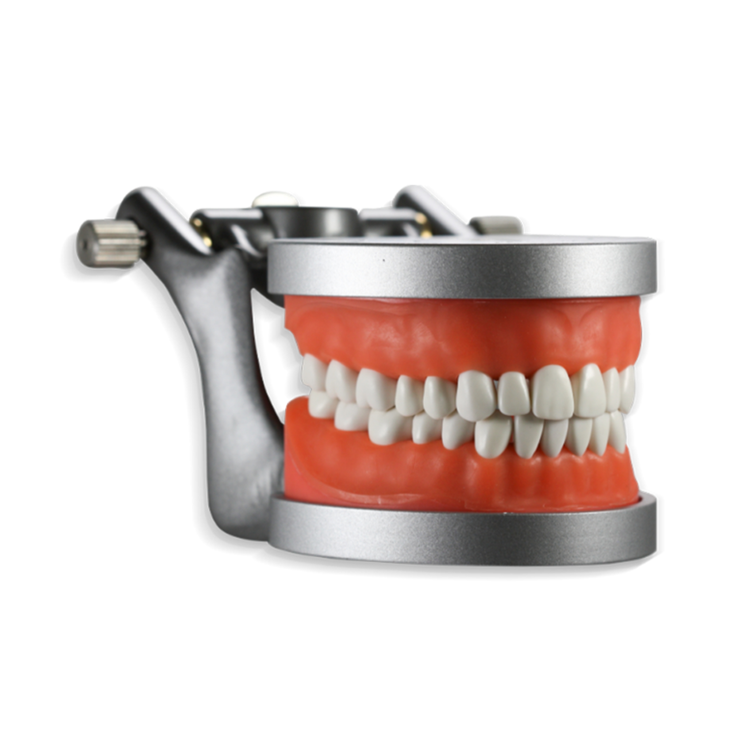 Acadental ModuPRO One w/articulator